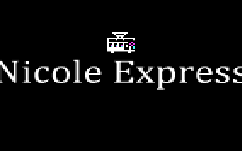 Nicole Express logo