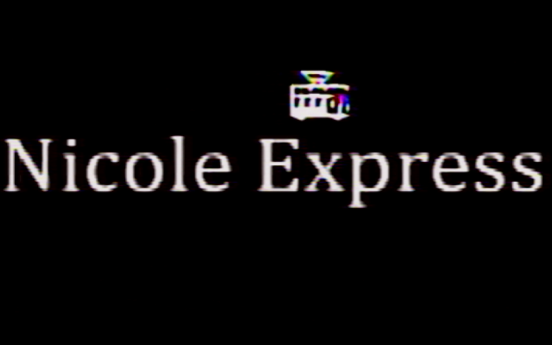 Nicole Express logo