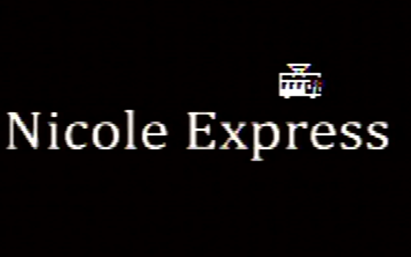 Nicole Express logo