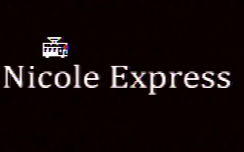 Nicole Express logo