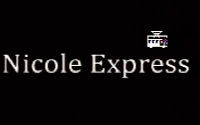 Nicole Express logo