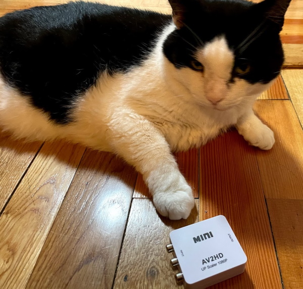 My cat pointing at a AV2HD upscaler box